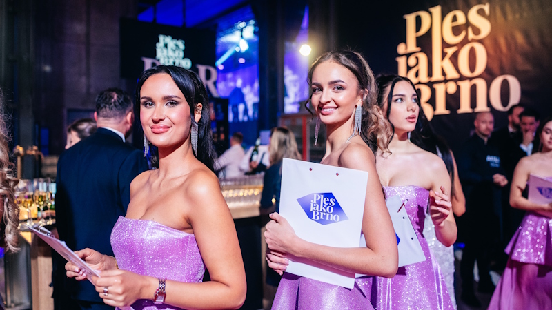 ples-jako-brno-sektory